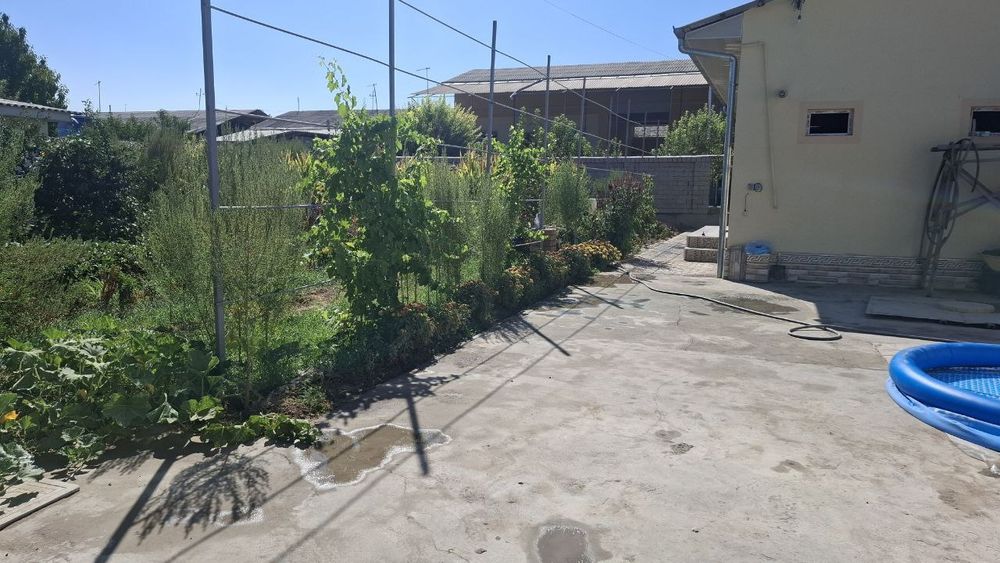 Янгийул, 6 соток