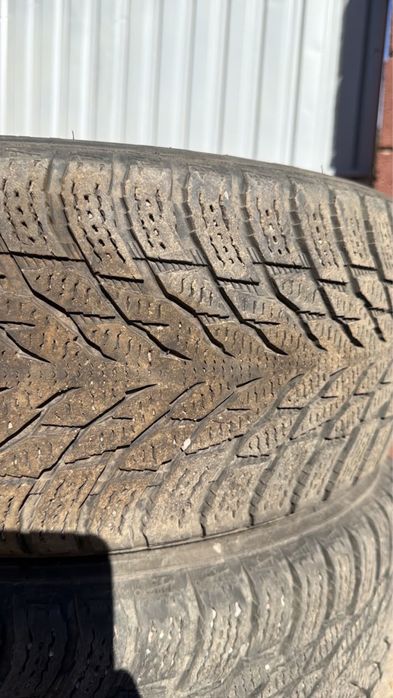Продаи шины Nokian Hakkapelitta R3