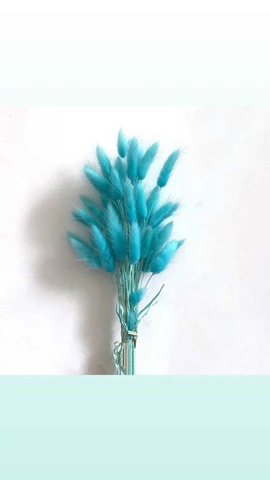 Сухоцветы, лагрус, пшеница, лаванда