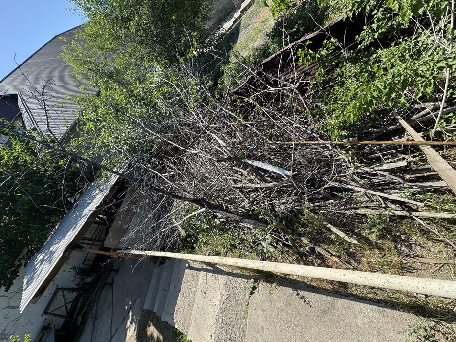 Отын бар арзан багада, келисемиз!