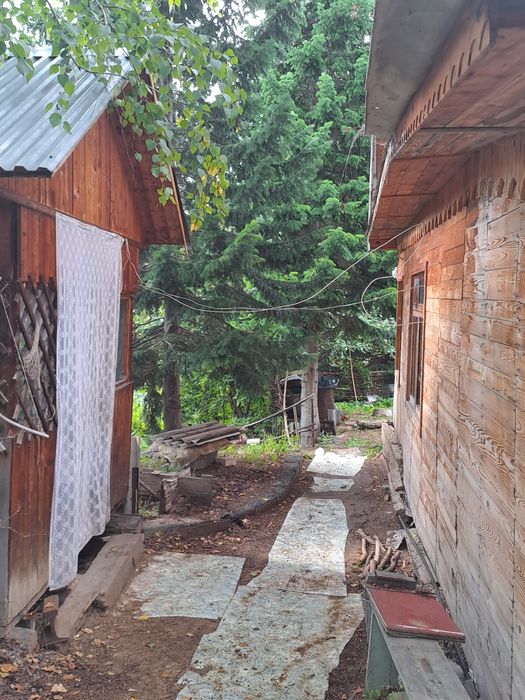 Продам пасеку дачу