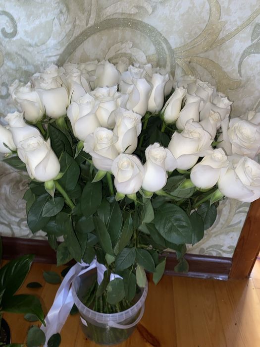 Белые ,красные,розовые цветы