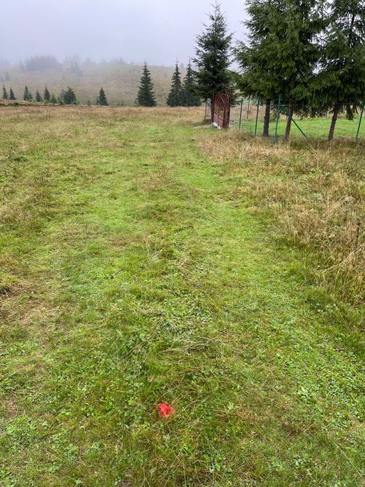 Vând teren 900 mp intravilan, Bălcești, com Beliș – 60 km Cluj-Napoca