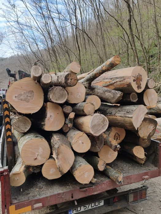 Lemn de foc, fag, stejar