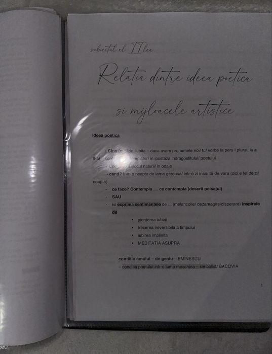 Dosar lectii 2 si 3/eseu bac romana