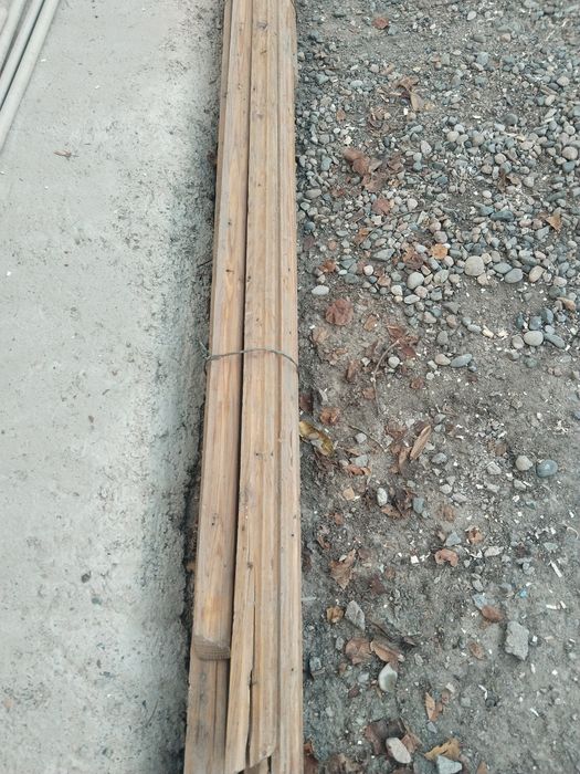 Плунтеса для дома продам