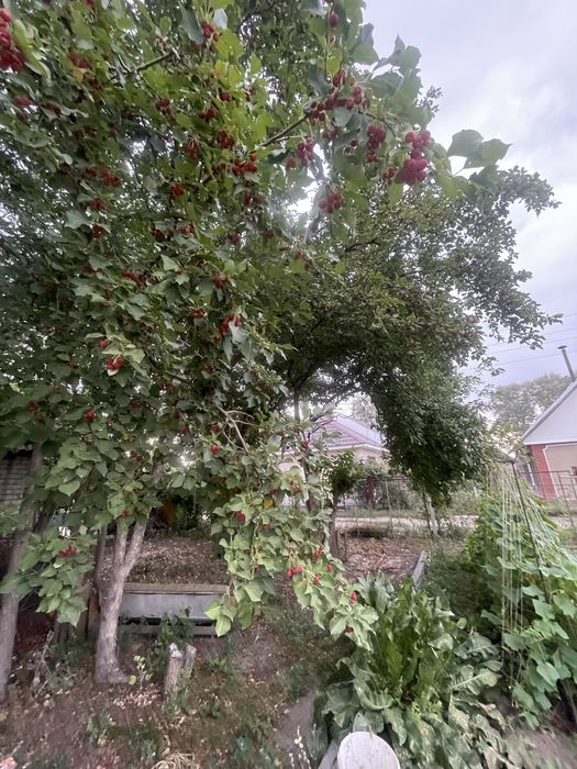 Продам дачи на Солнечной долине