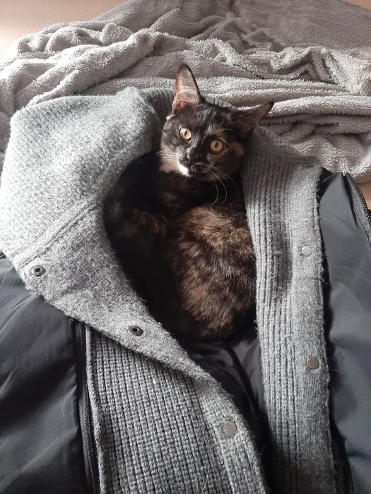 Девочка в заботливые руки