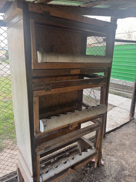 Брудер для цыплят