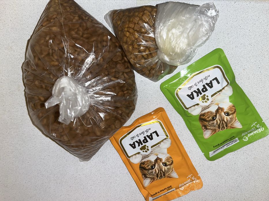 Мысық сатылады, заттарымен бірге