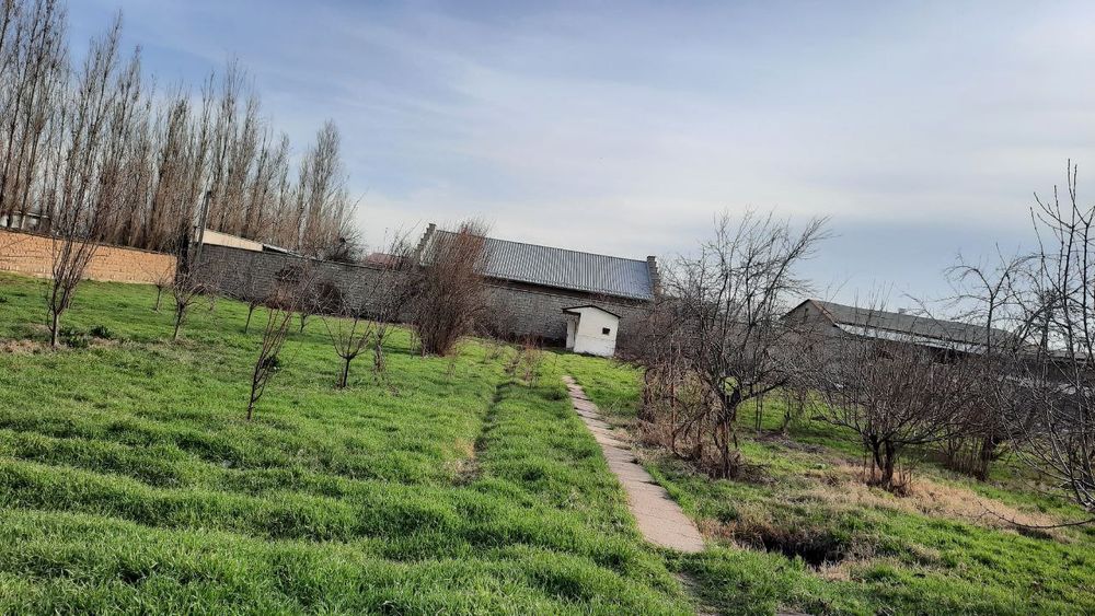 М.Улугбекский р-н Чингелди! Про-ся 25-соток земельный участок