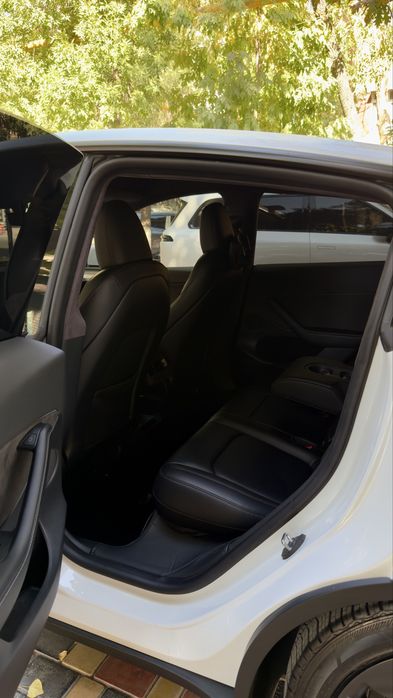 Tesla Model Y Perfomance 2024