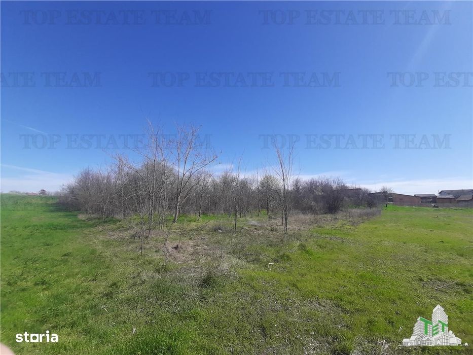 Teren 4000 mp + casa demolabila in BragadiruVarteju (Magurele)