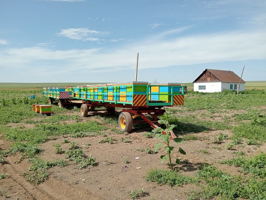 Продам пчела прицеп