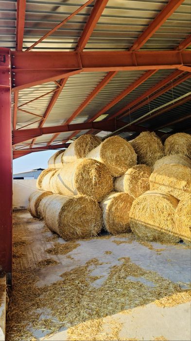 Vand Baloti orz si pai 1,2x1,5 dimensiune