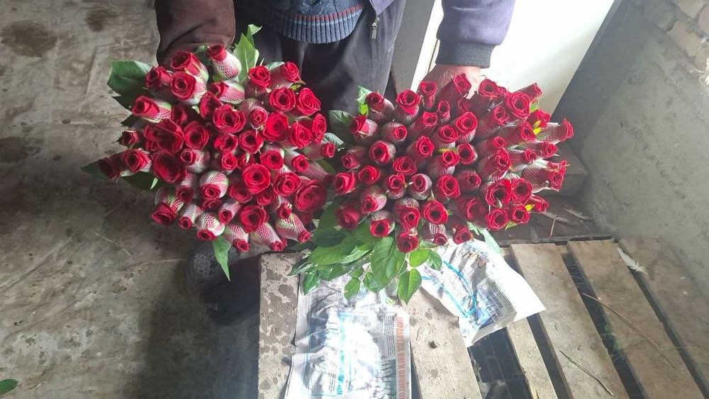 Atirgul роза Sotiladi Optom Navoiydan Barcha viloyatlarga dostavka bor