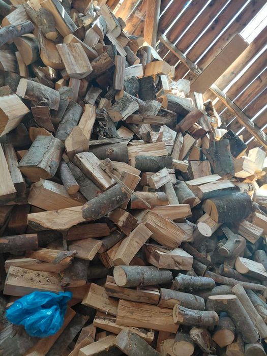 Lemne de foc esență fag.