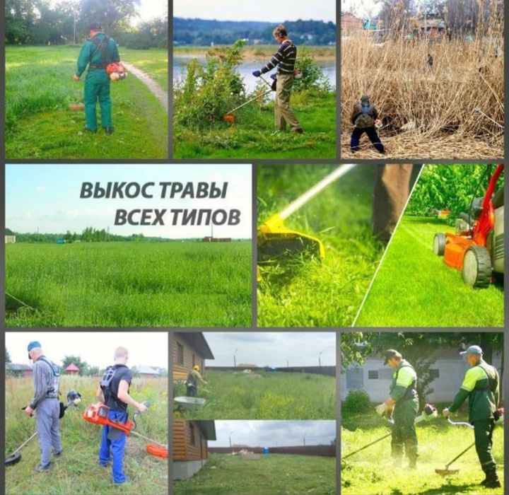 Пакос травы шоп шабамыз