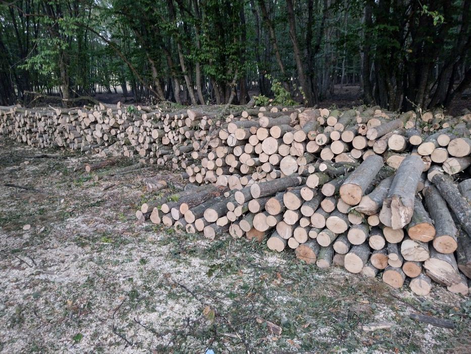 Lemne de foc esență