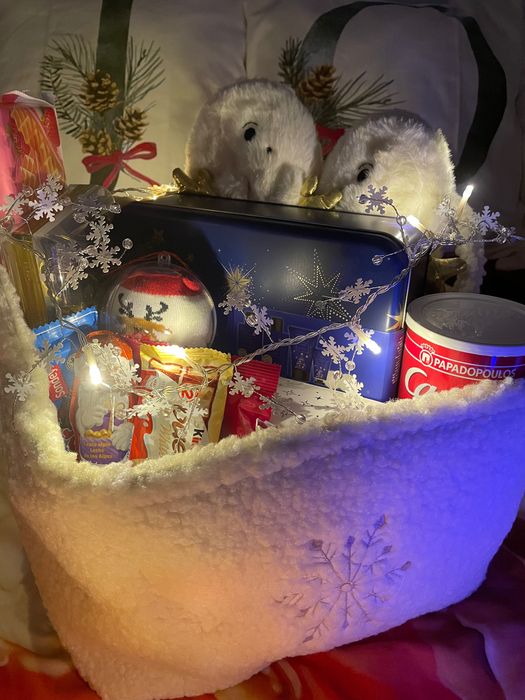 Brr basket Fulg de nea