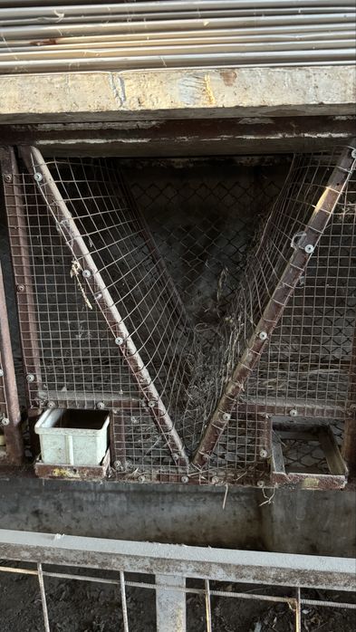 Продам метал клетки для кроликов