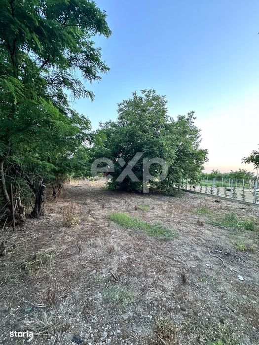 Teren intravilan de vanzare – Aleea Manastirii  2.400 mp