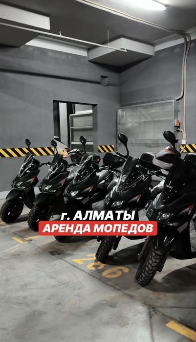 Прокат мопедов Алматы