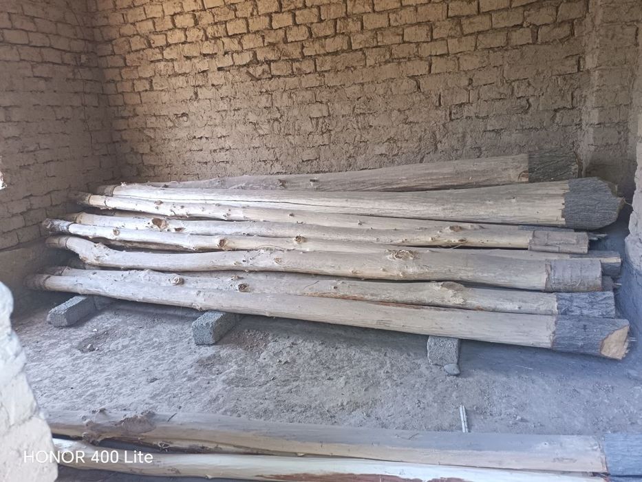 5 metrli tosinlar 30tacha bor
