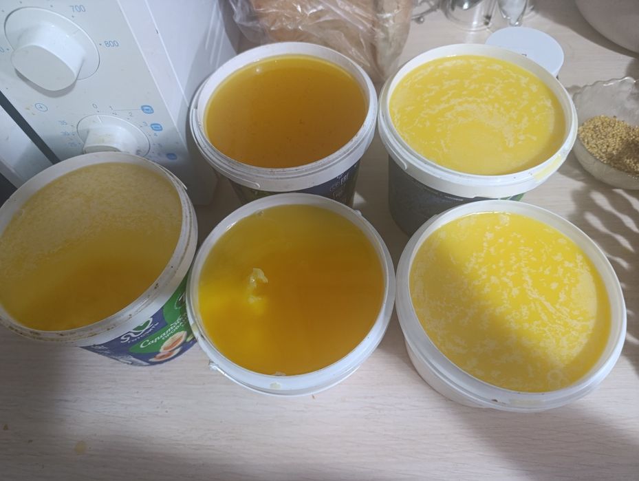 Продам топленый говяжий жир