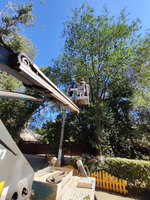 Спил деревьев частями, валка, обрезка, кронирование деревьев