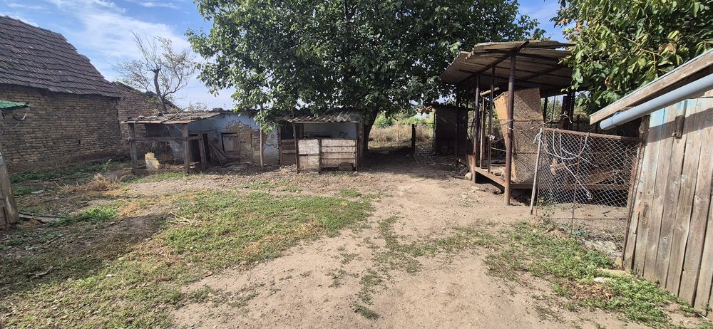 Teren intravilan cu Casa Bătranească construibil 1.600 mp – Iecea Mare