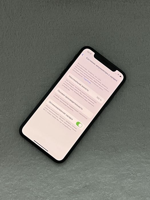 iPhone X 256GB 100%
