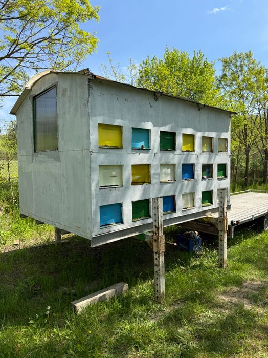 Pavilion apicol 36 de lăzi în pat cald pe 18 rame (se vinde fară lăzi)