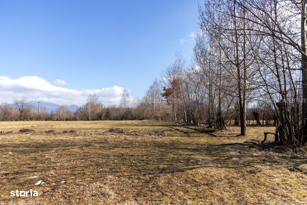 Bran Sohodol,5967mp+teren bonus,intravilan constructii P+E+M,comision0