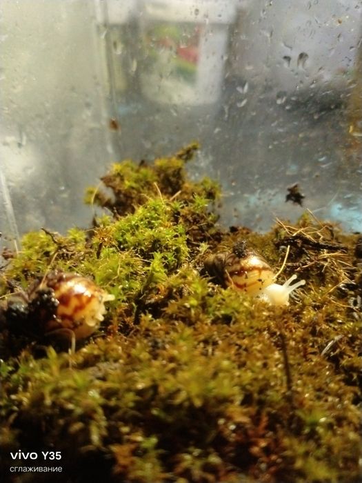 Читать внимательно !!  Очень внимательно!!!