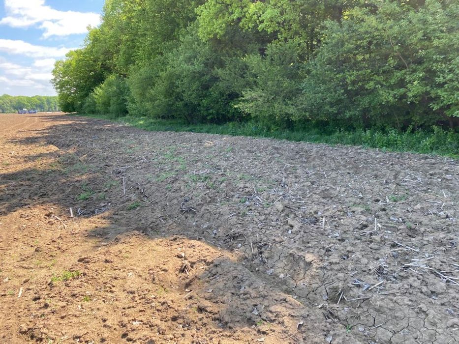 Vand teren intravilan cu deschidere la Padurea Snagov 7506mp