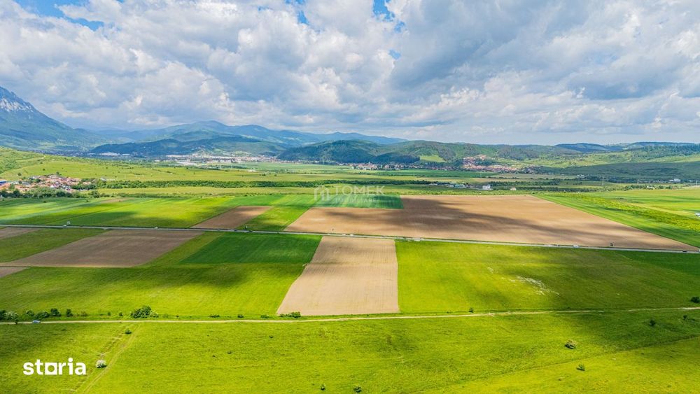 Teren de investiție în zona Tohanul Nou - Bran  5.800 mp