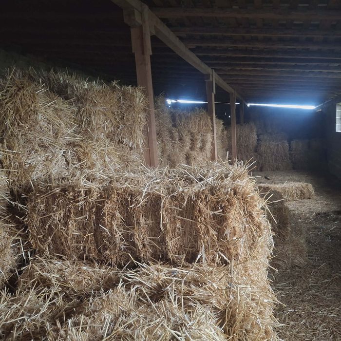 Продавам бали слама