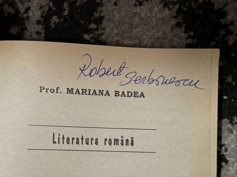 Limba romana - eseuri BAC structurate - Mariana Badea