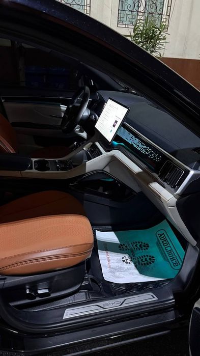 BVD chempio'n 605 EV