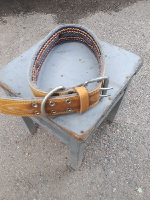 Ошейник для собаки