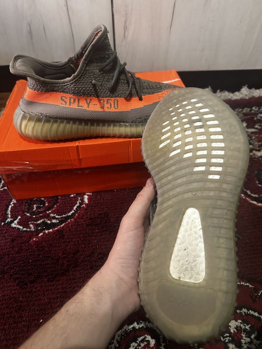 Yeezy beluga 40 purtati