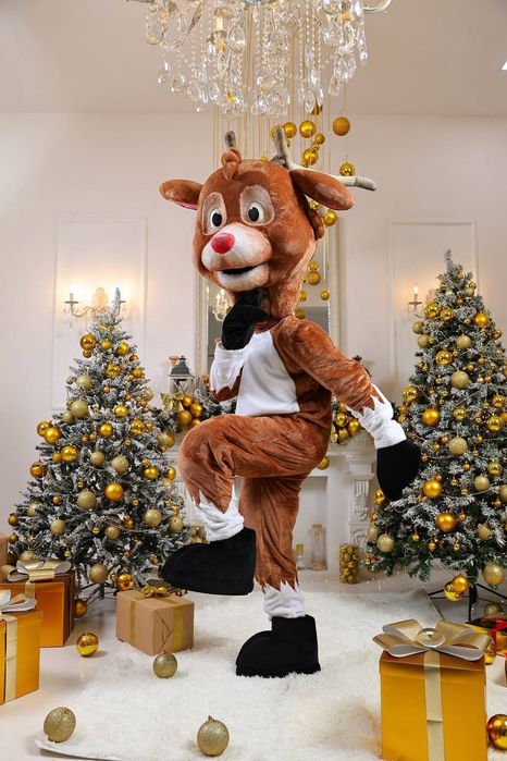 Qor bobo 31 dekabrga. Дед мороз на Новый год. Премиум Дед Мороз Шоу.