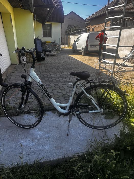 Bicicleta Gudereit
