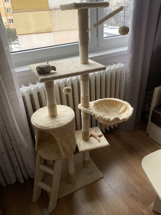 Casuta pentru pisici