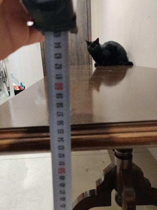 Холна маса от дърво