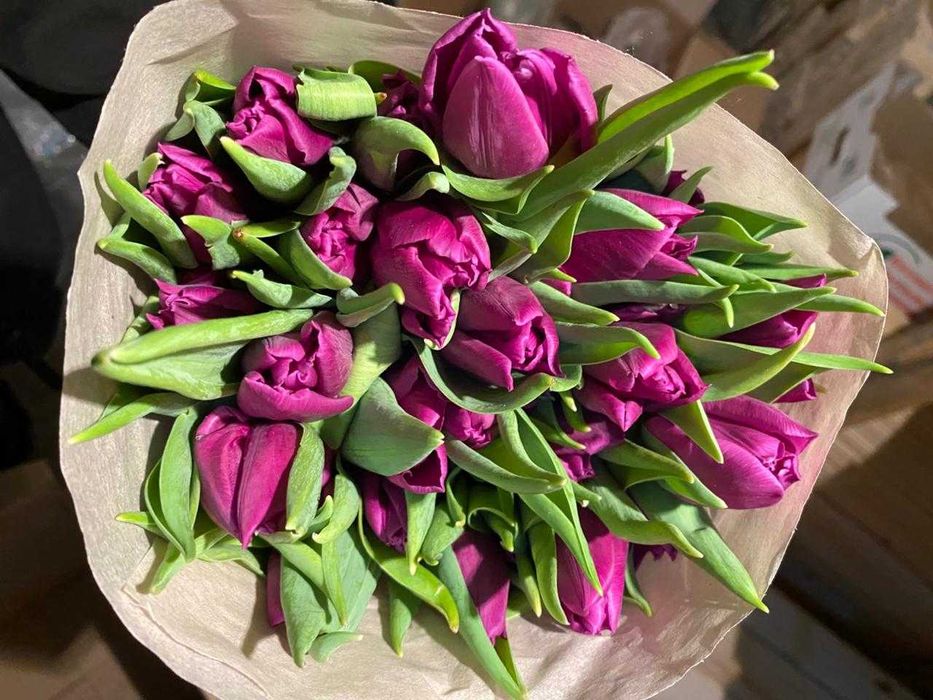 Тюльпаны. РАСПРОДАЖА. .
