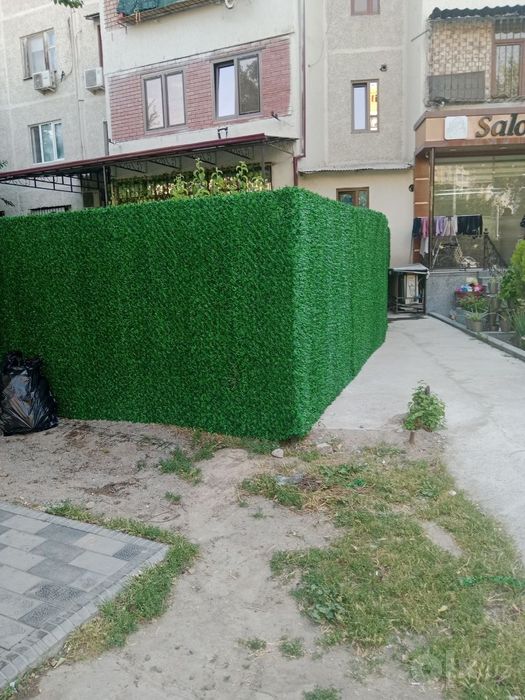 Eron zabor suniy gazon zabor