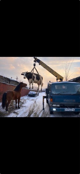 манипулятор самогруз воровайка