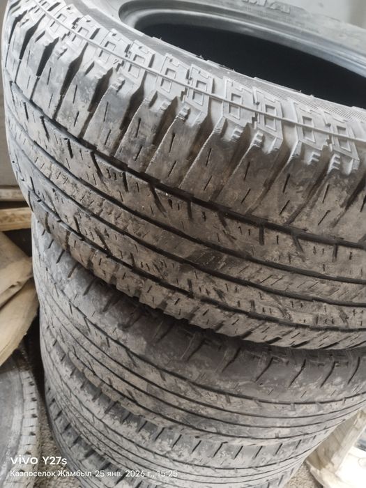 Жаздық дөңгелек бу